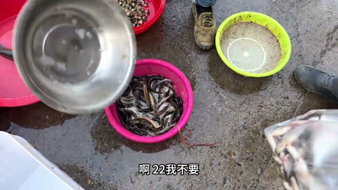 早晨乡村集市河鲜泛滥，农村小伙赶集买鱼，看这小河鱼都眼馋啊 #鱼干 #三农 #乡村守护人 #鱼 #农村生活