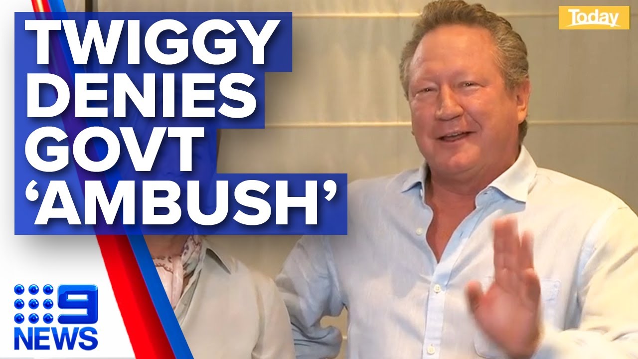 Twiggy Forrest denies blindside over Chinese diplomat 'stunt' | Nine News Australia