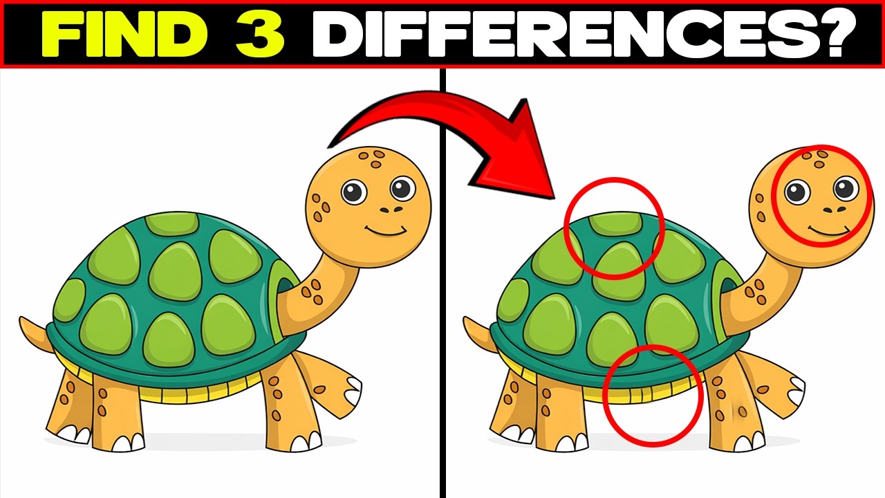 Three Changes Hidden in the Image🧠#10 Game Challenge | Find 3 Differences | Quizory Lab