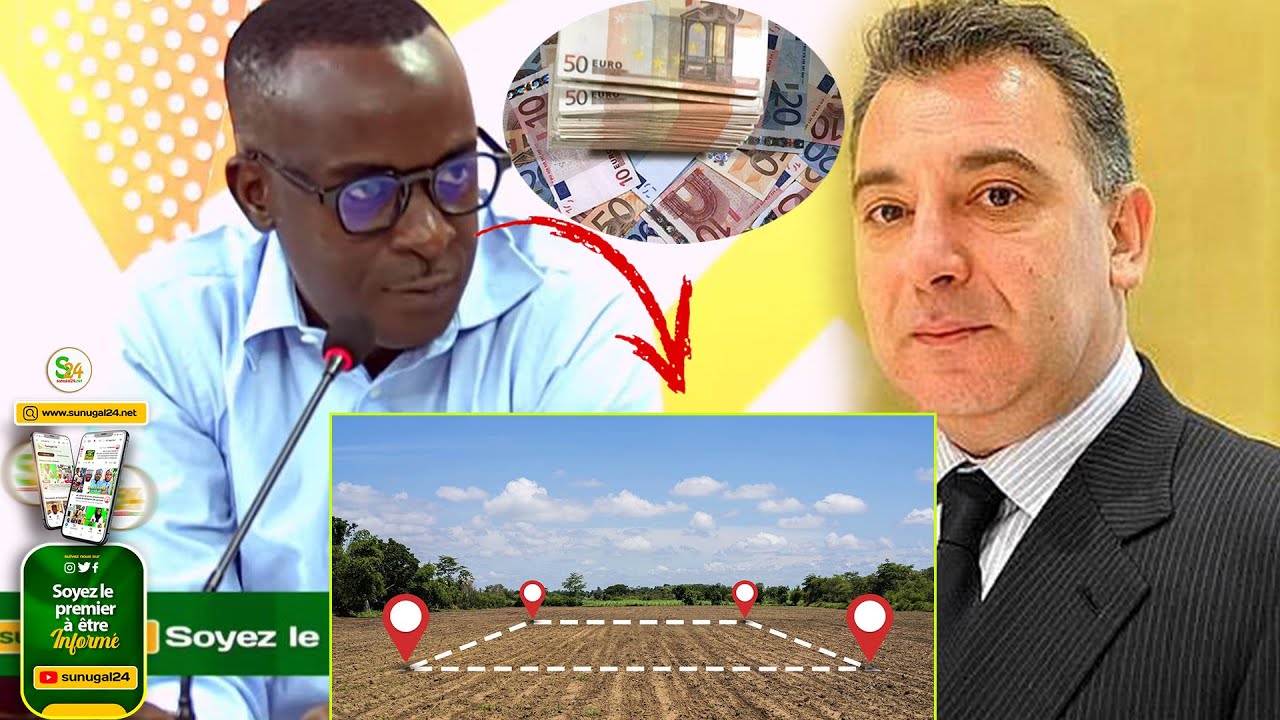 Franck Timis & Valorisation des acteurs nationales