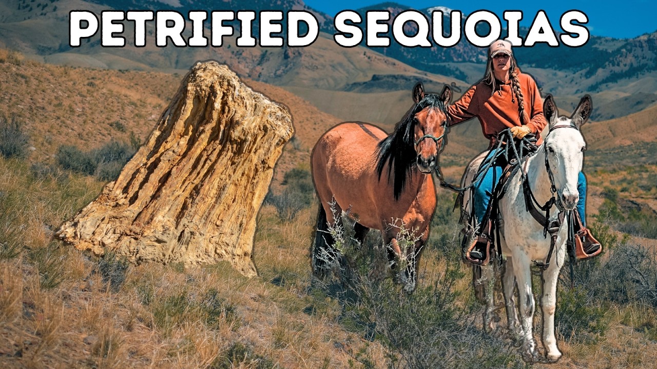 We Found Ancient SEQUOIAS In The DESERT! [Mustang’s First Ride Out]