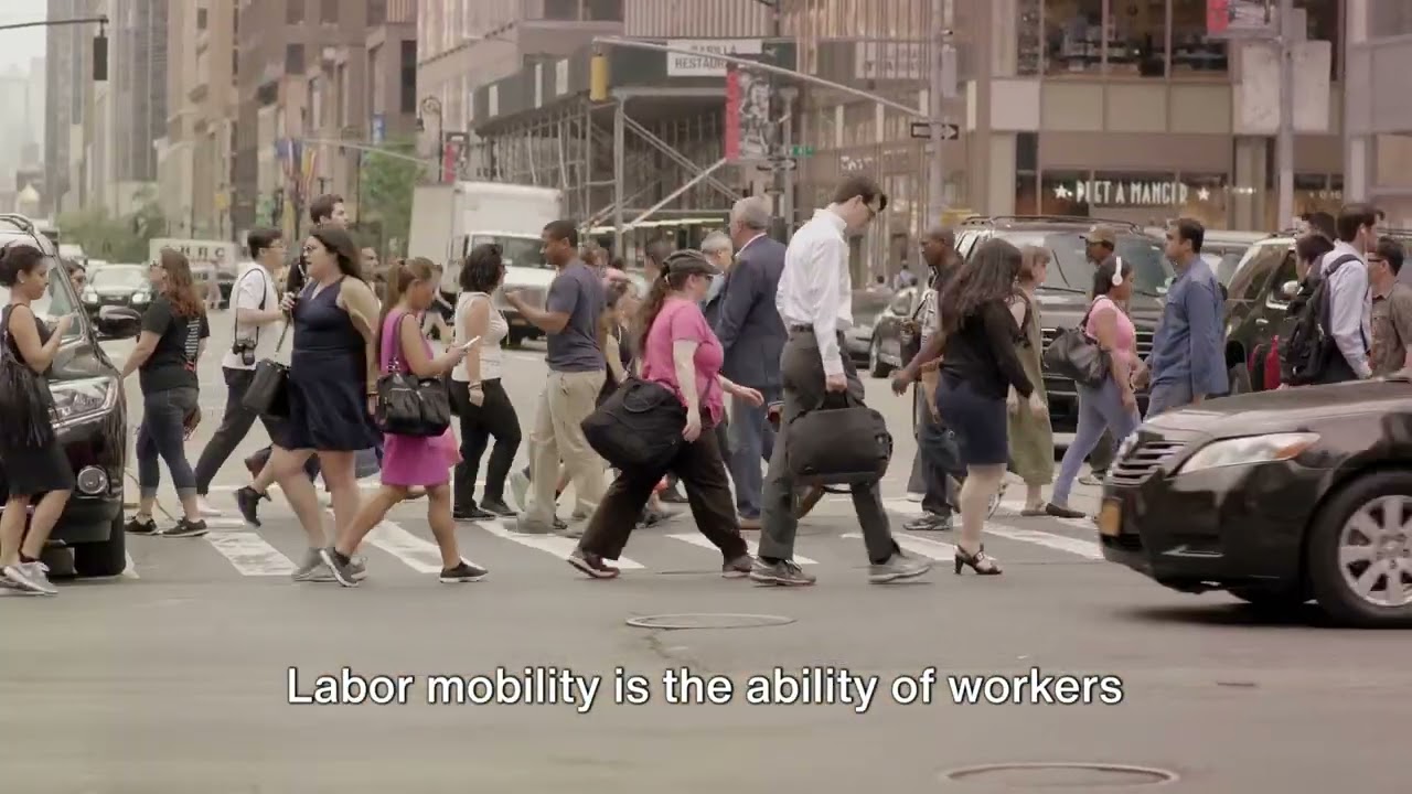 What is Labor Market Dynamics?