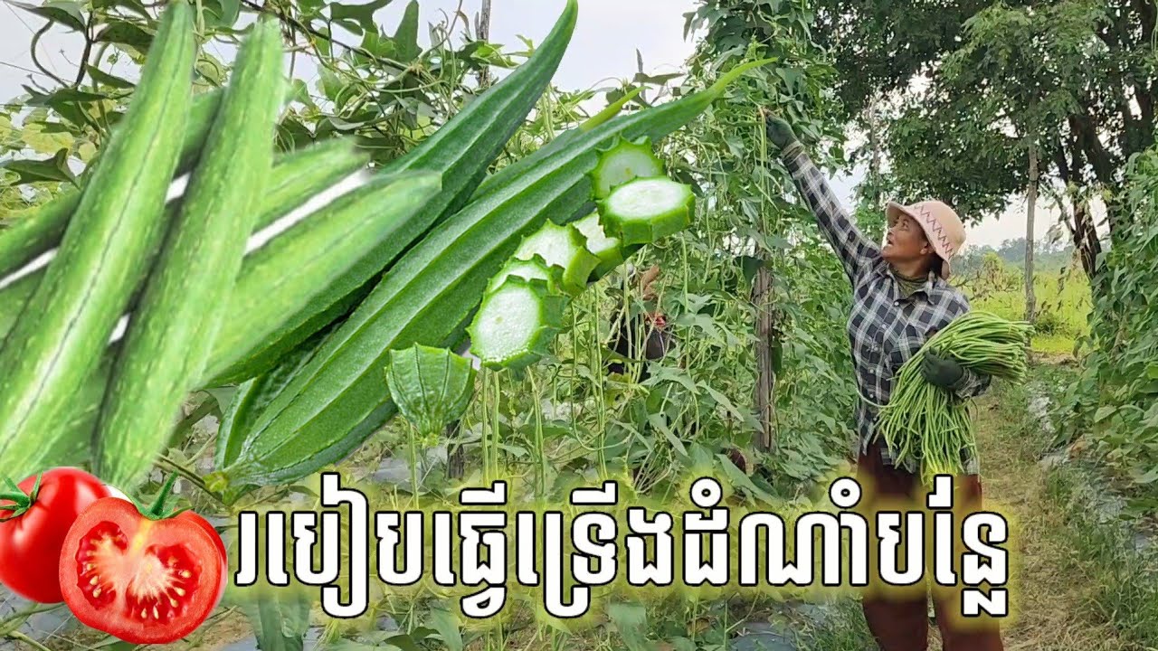 របៀបធ្វើទ្រើងបន្លែ