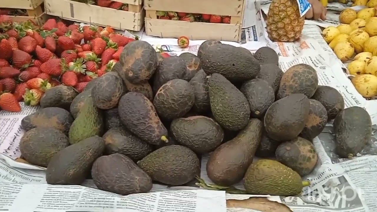 سوق الأسبوعي خميس أولاد عياد انخفاض في الخضر والدجاج والاسماك 🥦🥒🐟تاريخ 16/2/2023