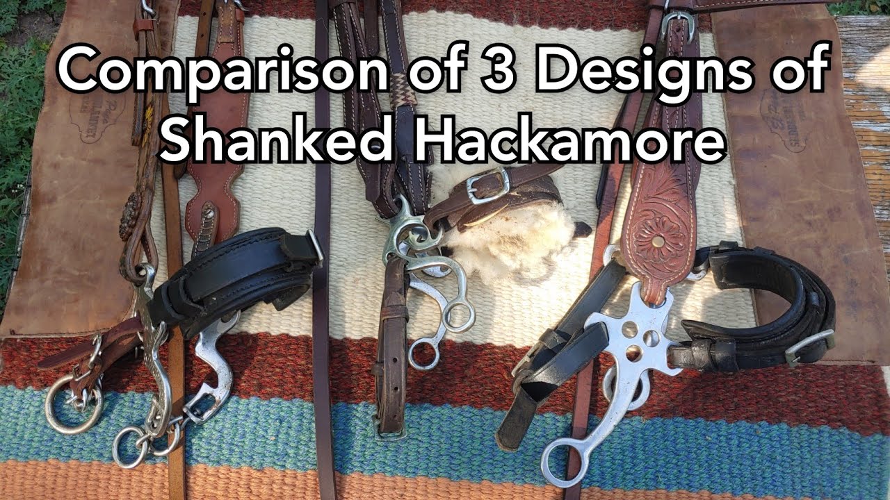3 Different Designs of Shanked Hackamore - comparison with pros and cons