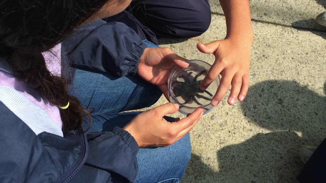 Programa de  Educación Ambiental- FAHHO:  LA SALLE
