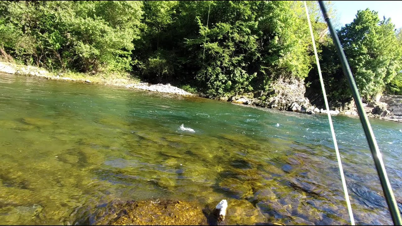 Riserva di Savignone Tante iridee con la mosca secca