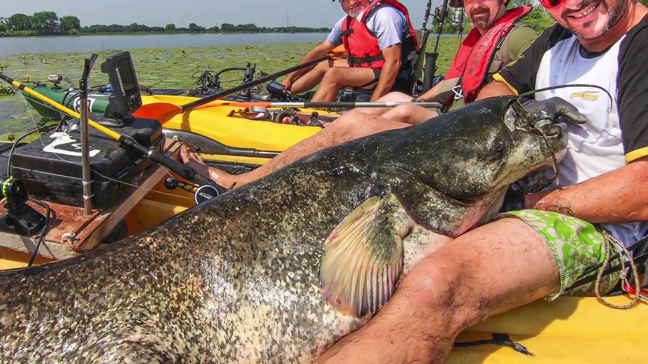 Clonk Kayak - Siluro - Kayak Fishing