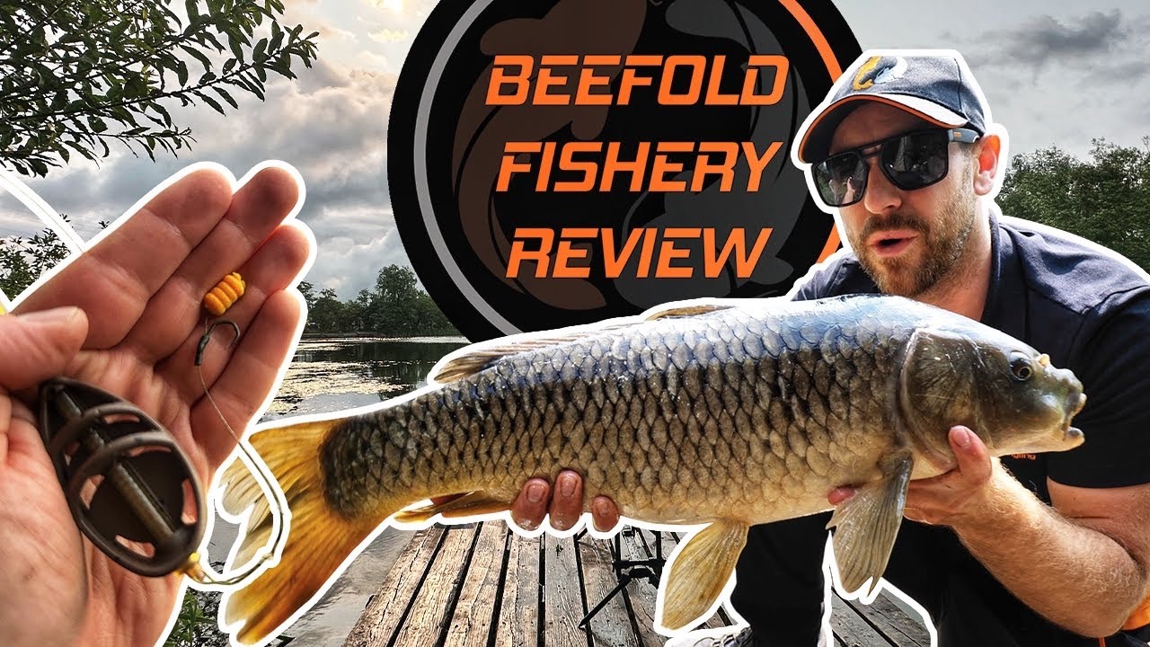 Specimen Method Feeder Fishing at Beefold Lane Fishery | Fishery Reviews