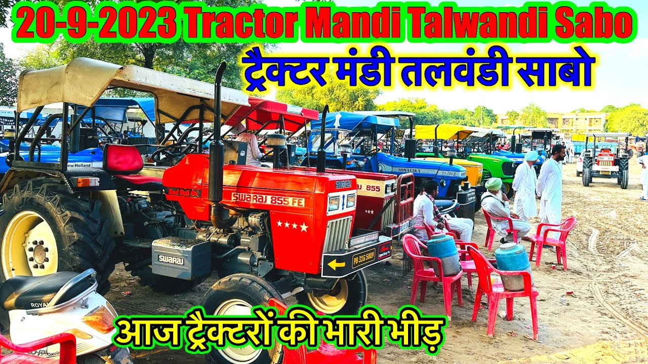 20-9-2023 ट्रैक्टर मंडी तलवंडी साबो!!Tractor Mandi Talwandi Sabo  @super.tractor