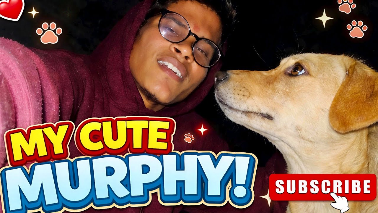 Cute Murphy ☺️ aatre bhai sad kuu hai 