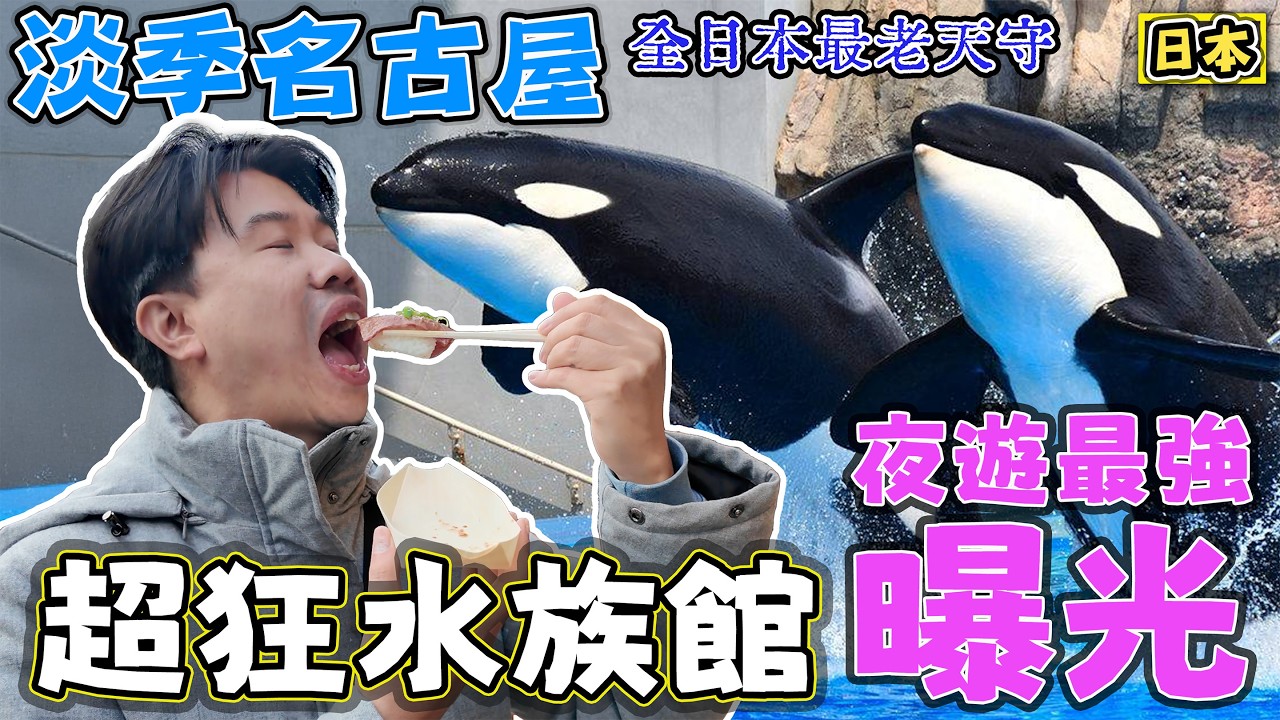 【淡季名古屋】超狂水族館 最強夜遊名花之里 最古老天守犬山城