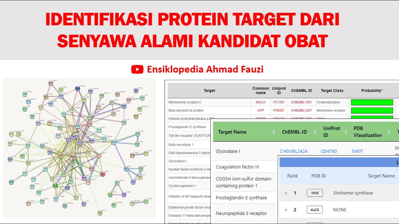 Identifikasi Protein Target dari Senyawa Alami Kandidat Obat menggunakan Bioinformatika