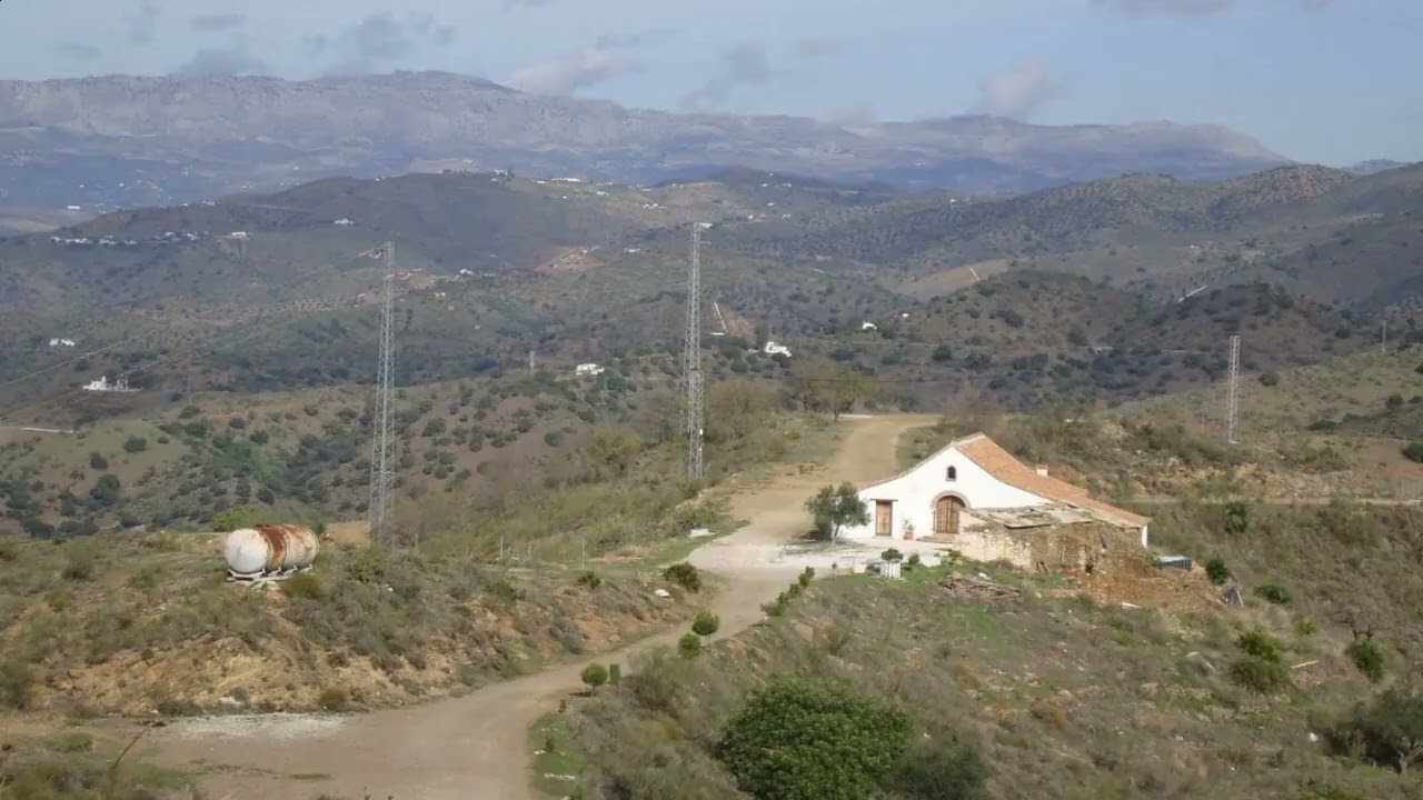 Panda primera del puerto pascuas 1983