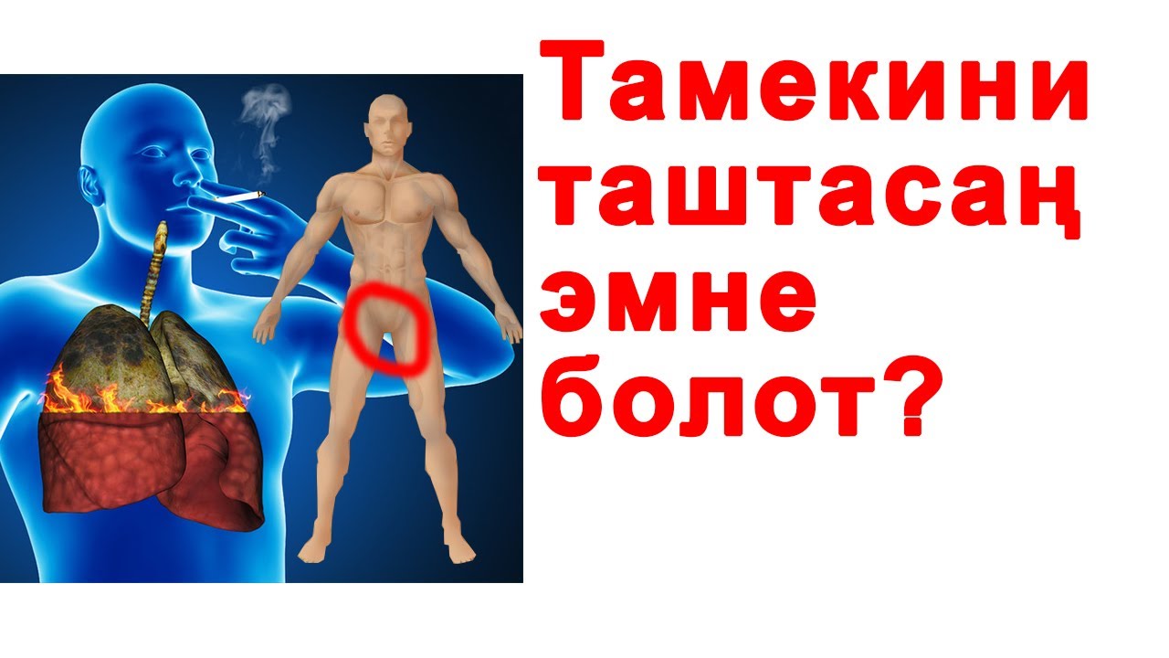 Кантип тамекини ташташ керек? Тамекини таштасаң денең менен эмне болот?