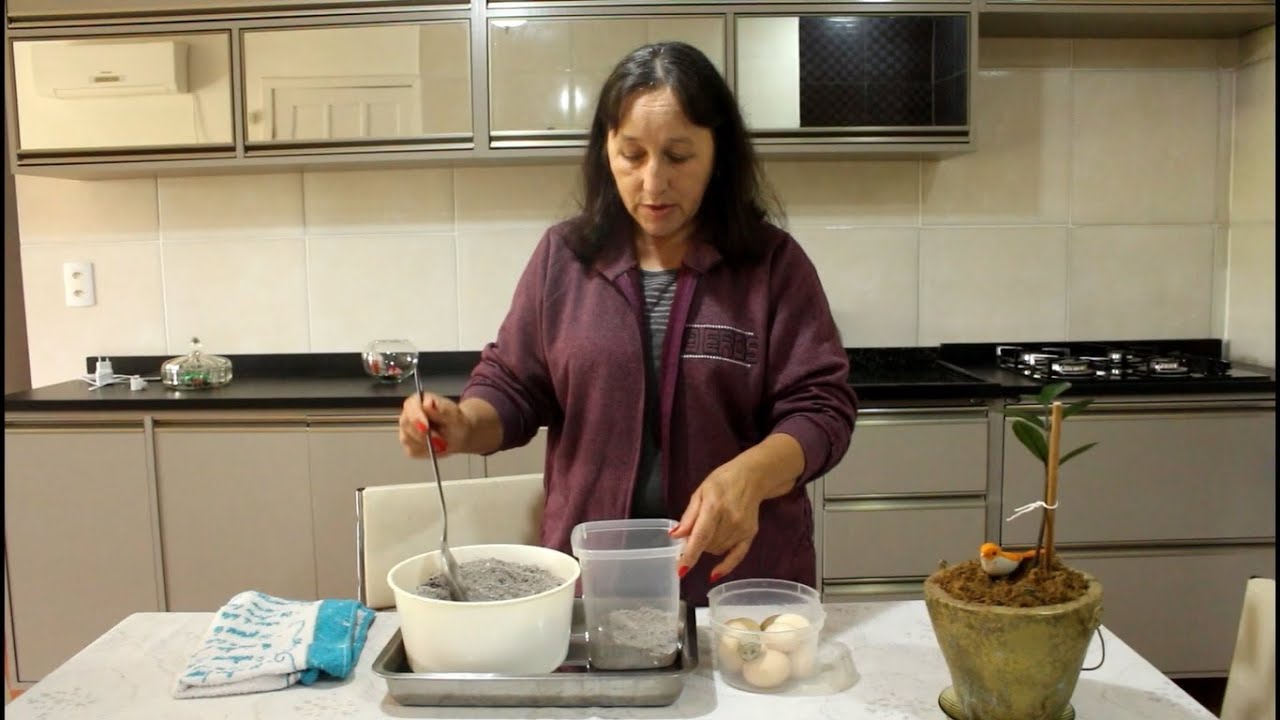 COMO CONSERVAR OS OVOS FORA DA GELADEIRA