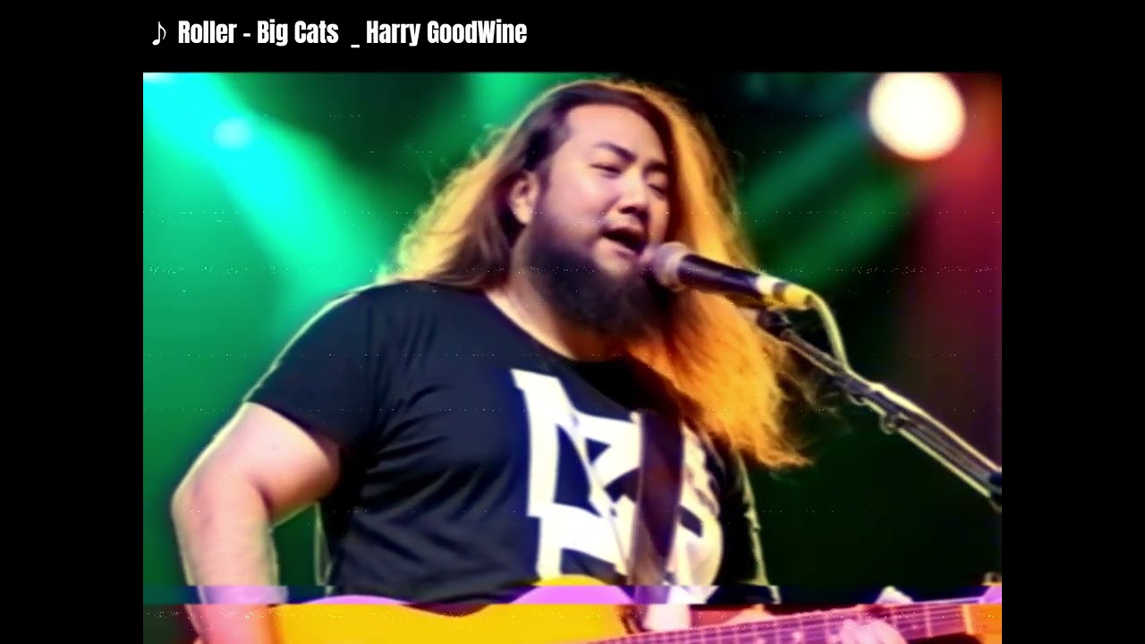 Harry Synth-pop | 전자음악 | 루저 | Roller  - Big cats