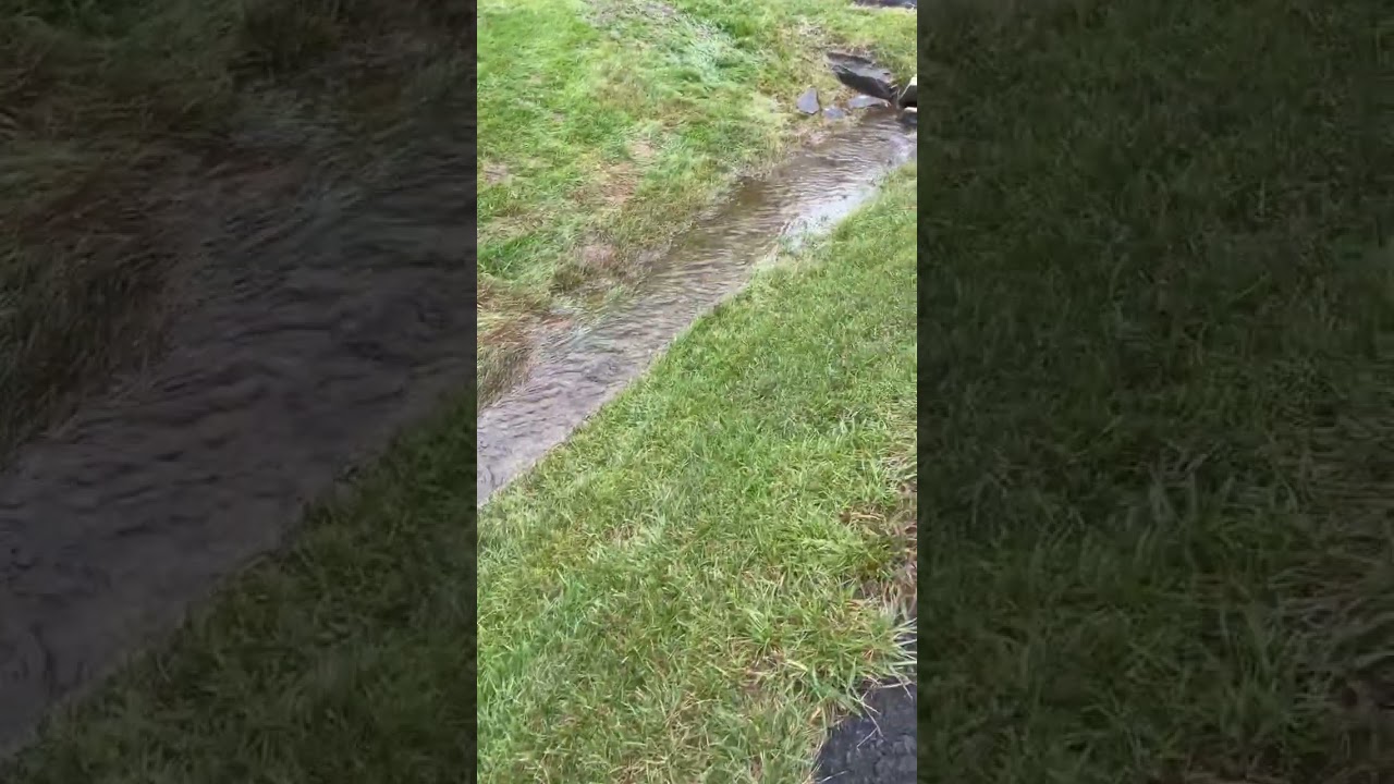 Stream 