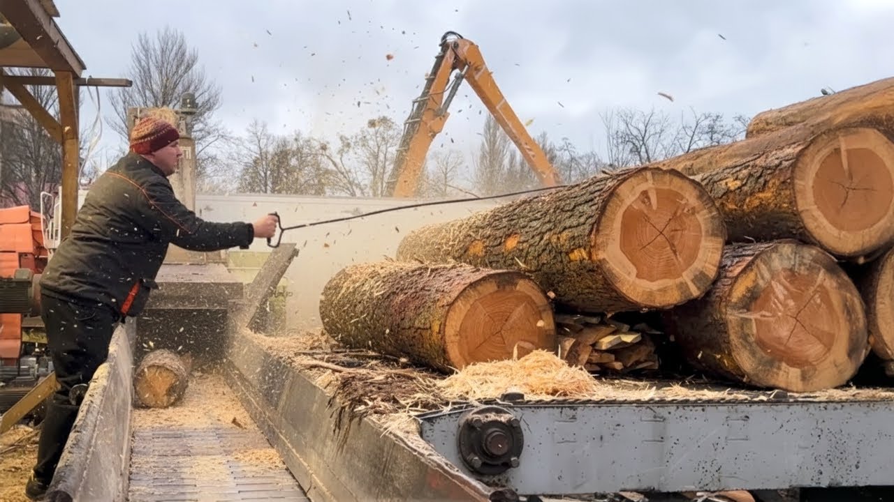 The Most BRUTAL Log Feeding Operation Ever!