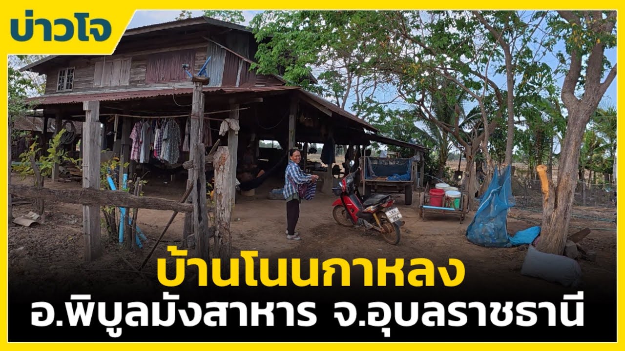 ชนบทอีสาน | บ้านโนนกาหลง อ.พิบูลมังสาหาร จ.อุบลราชธานี