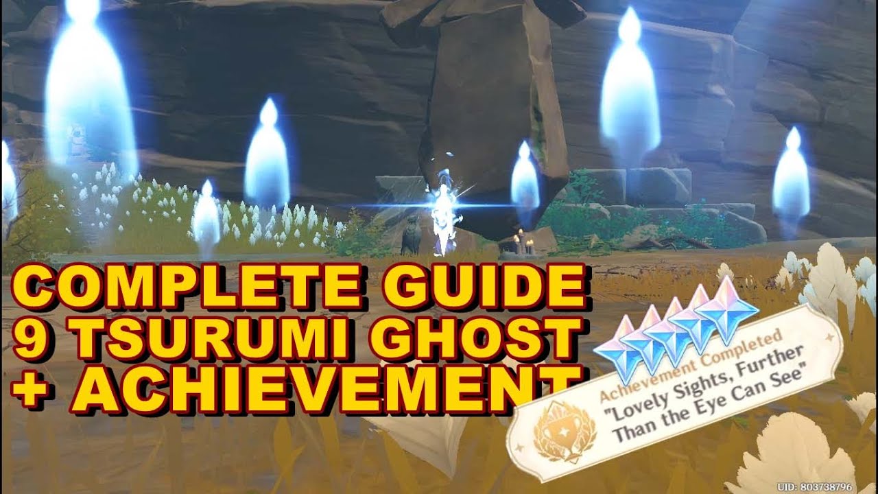 COMPLETE GUIDE 9 TSURUMI GHOSTS/SPIRITS | LOVELY SIGHTS, FURTHER THAN THE EYE CAN SEE | ACHIEVEMENT
