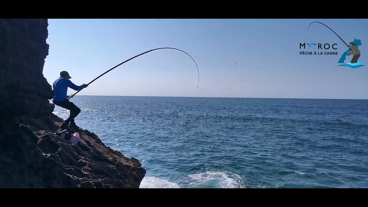 Pêche Au Maroc:رغم أن البحر قليل الهيجان#أسماك الشرغو بأحجام كبيرة#زوج تقويسات ممثازين ياسلام