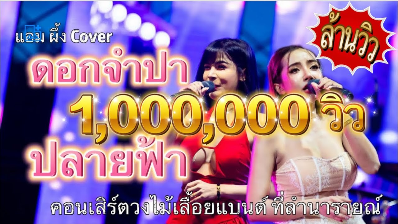 (ล้านวิว) เจ้าดอกจำปา ปลายฟ้า |  คอนเสิร์ตวงไม้เลื้อยแบนด์ ที่ลำนารายณ์ (ผึ้ง แอมCover)