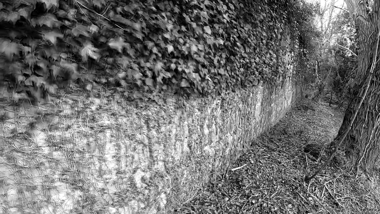 The SAD state of the Prudhoe Hall Walled Garden (Advert)