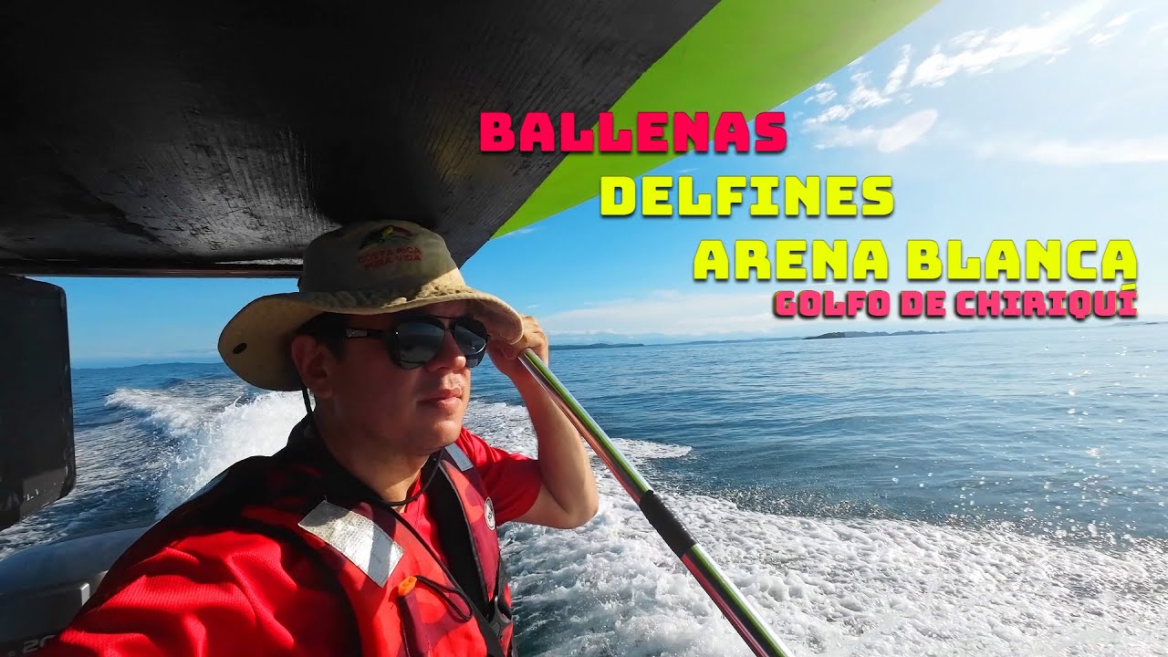 Ballenas, delfines , arena blanca en el Golfo de Chiriqui