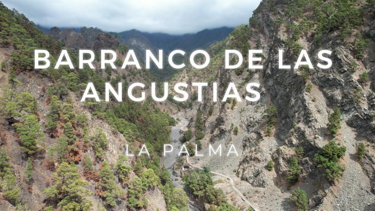 Barranco de las angustias. LA PALMA. CALDERA DE TABURIENTE. CANARIAS.