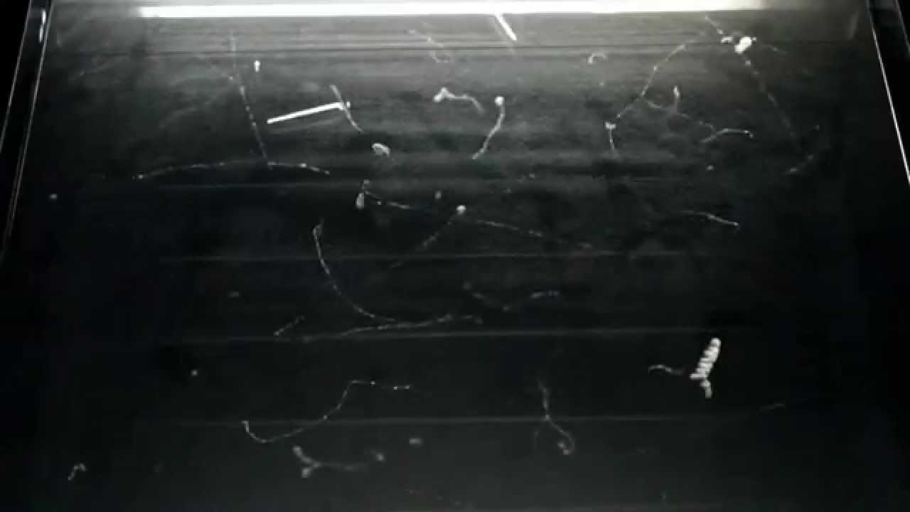 Zauberhafte Physik: Nebelkammer / cloud chamber
