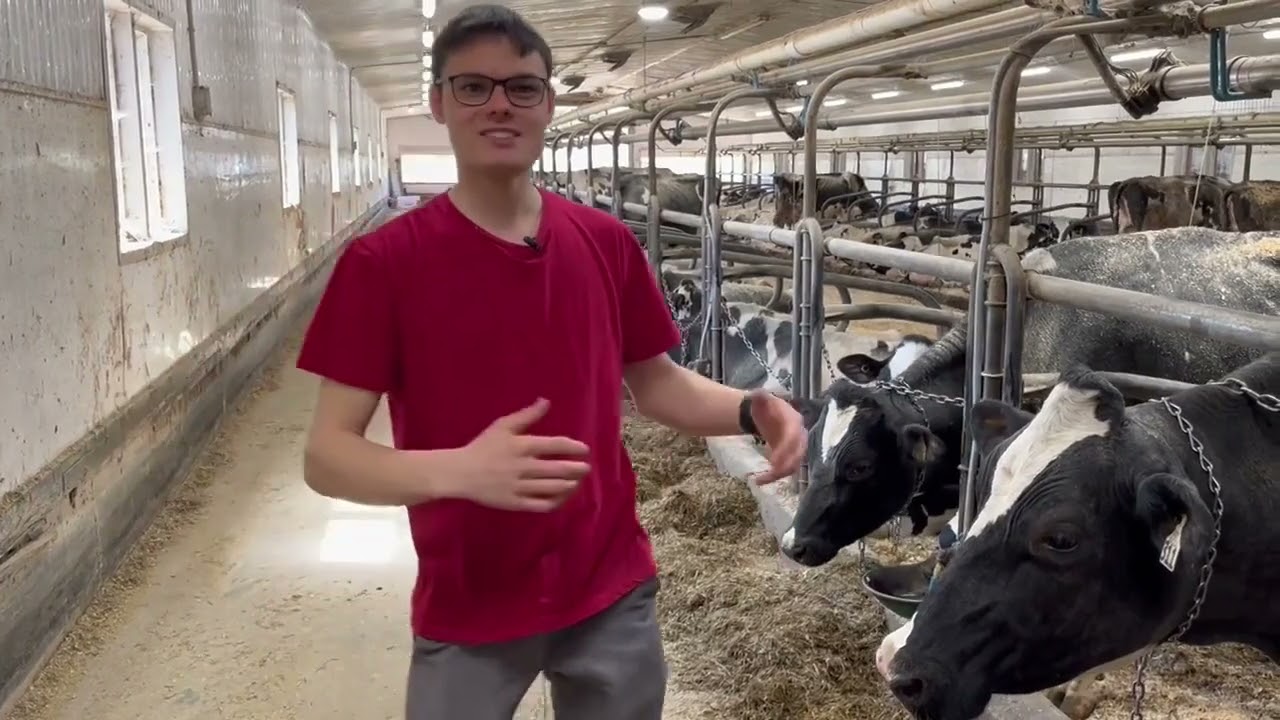 Une histoire d'amour... agricole!