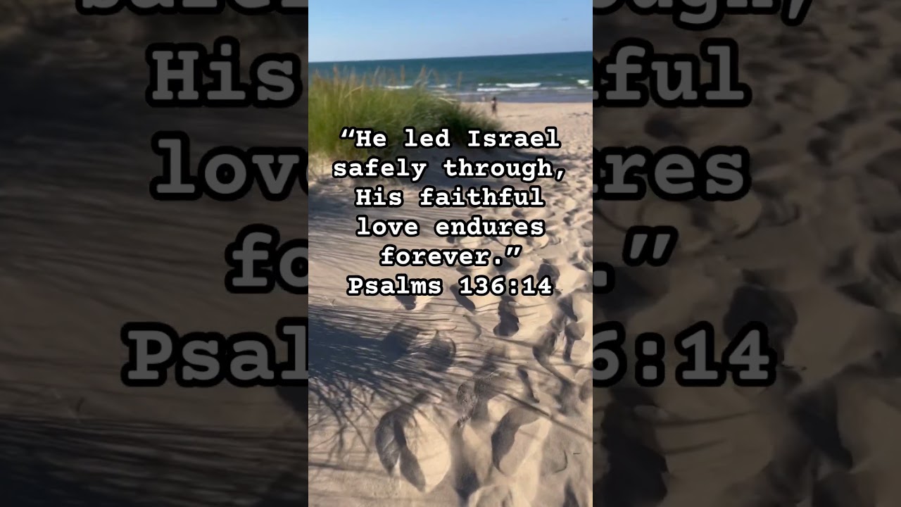 Pray for Israel 🇮🇱 🙏🏼 #shortsfeed #prayforisrael #pray #bible