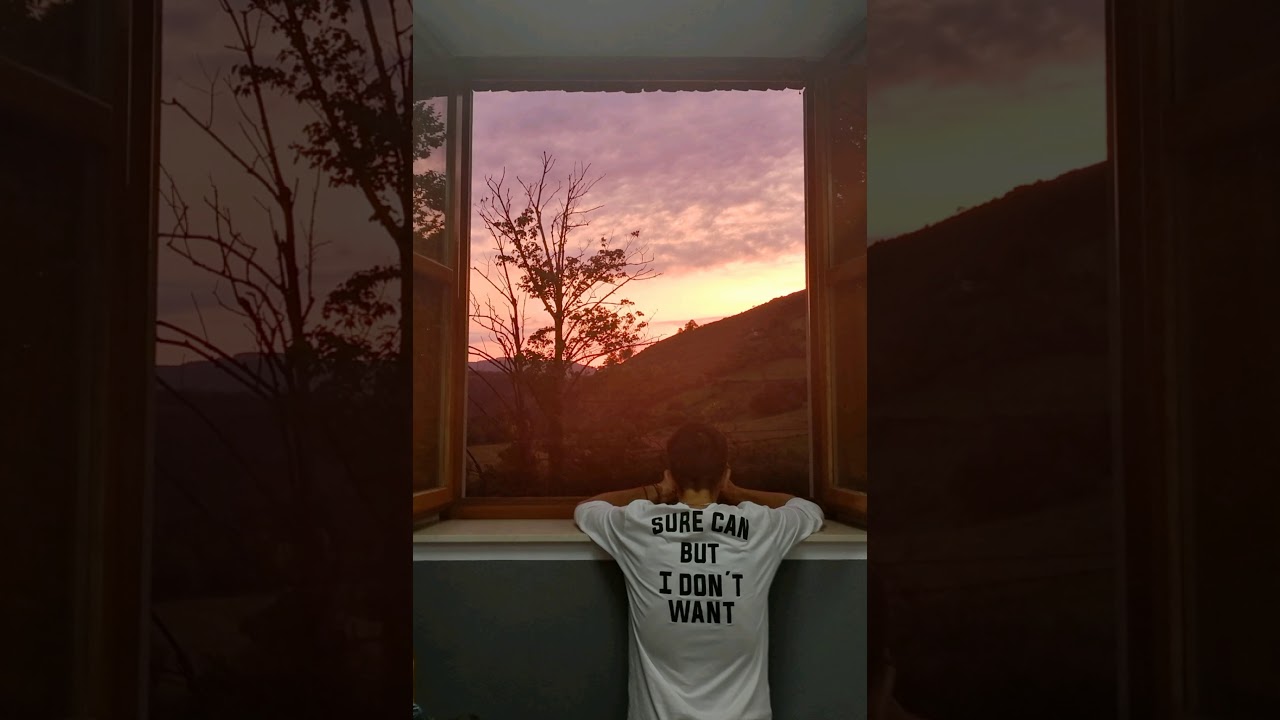 La expresi&oacute;n del sentido - Didac Flores