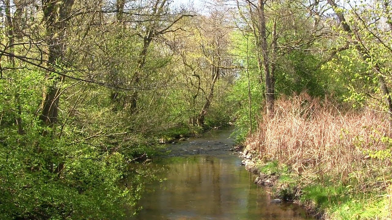 Piratens Vollsj&ouml; 7 - Badarnas sten