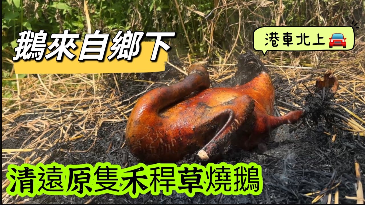 🪿 鵝來自鄉下 🔥 清遠原隻禾稈草燒鵝 🚙 港車北上。 2023.08.18.