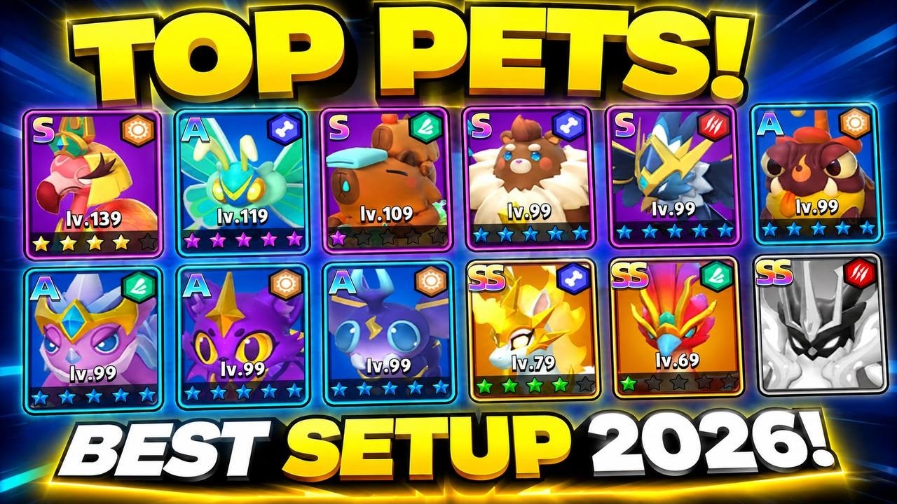 ARCHERO: BEST PETS 2026!  CREATING TOP SETUP HERO 2026!