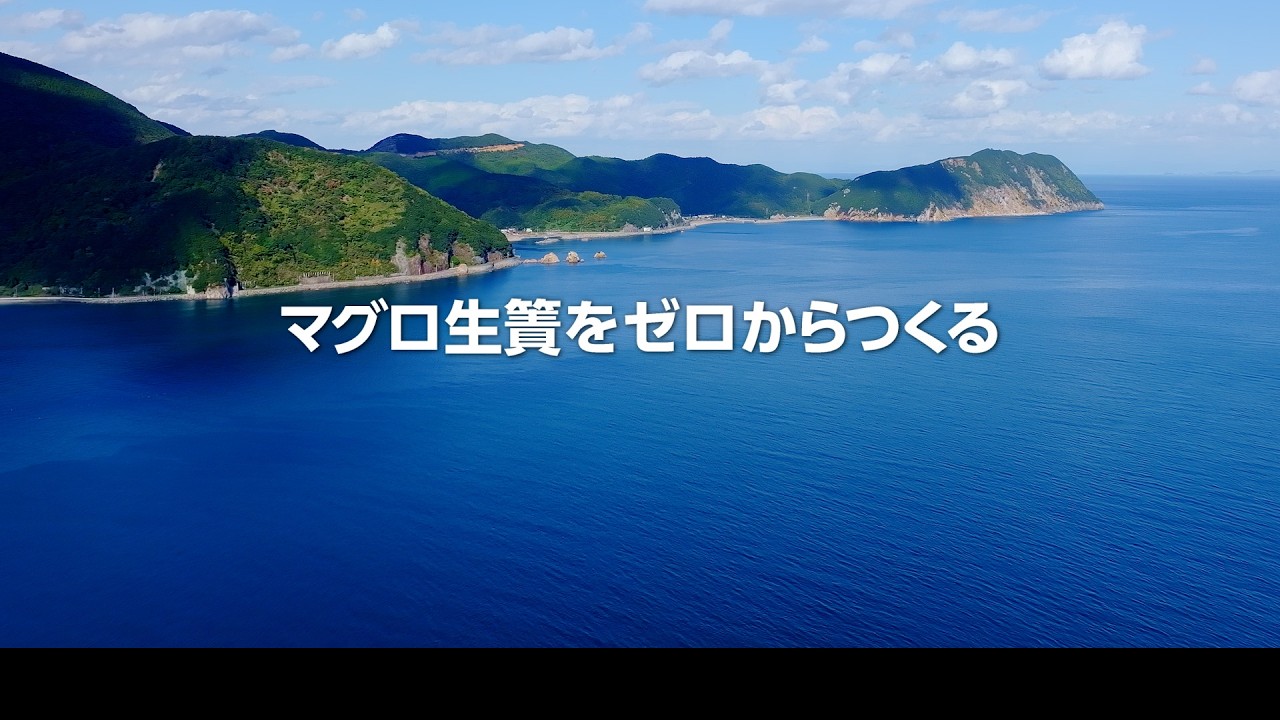 【海興水産マグロ生簀プロジェクト】公開２　マグロ生簀をゼロからつくる！海の男たちの挑戦を追ったドキュメント　ぜひ御覧ください