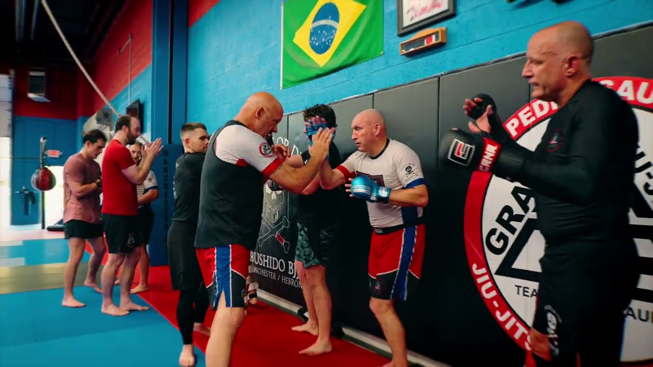Manchester BJJ/Bushido MMA Program