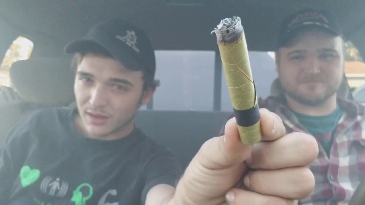 King Palm XL Hot Box