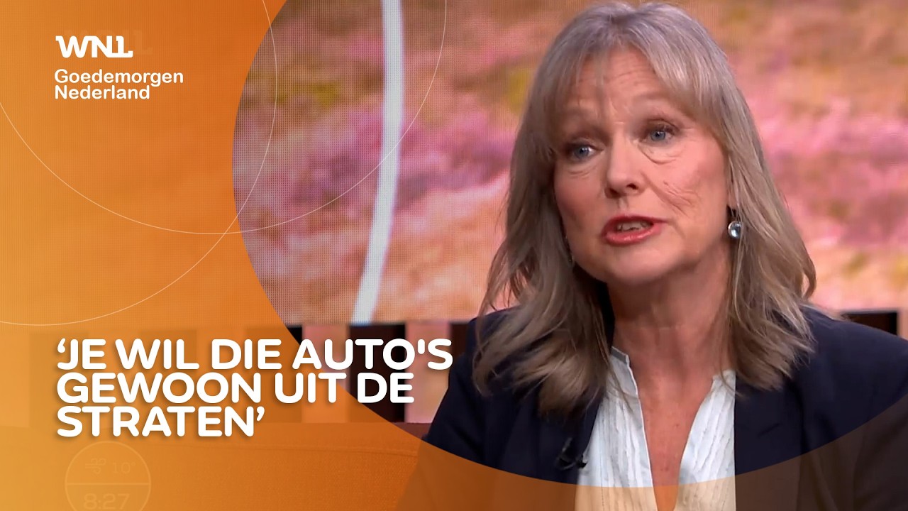 D66 Rotterdam wil autovrij en groen centrum: 'En lekkere terrasjes'