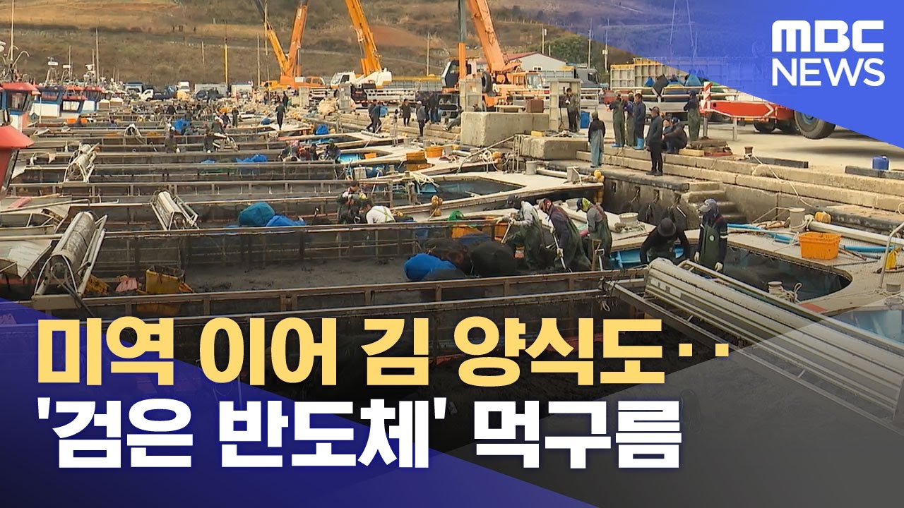 미역 이어 김 양식도‥'검은 반도체' 먹구름 (2025.12.23/뉴스투데이/MBC)
