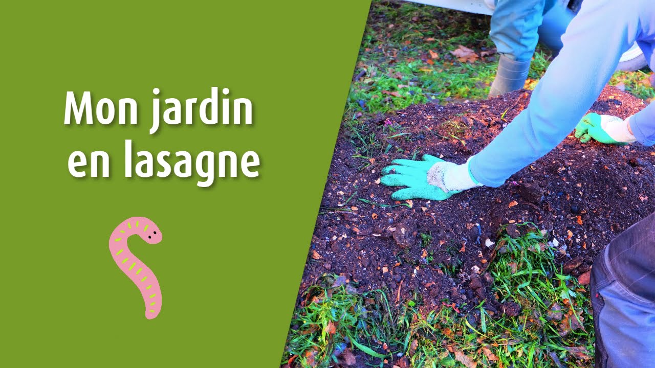Mon jardin en lasagne