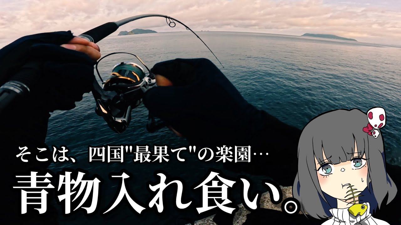 四国の最西端、『沖の島』のポテンシャルがエグい!!❤️&zwj;🔥【前半戦】