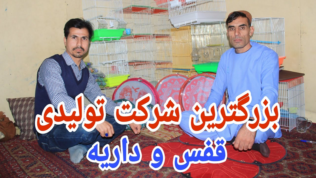 شوقی | گزارش از بزکترین شرکت تولیدی قفس و داریه