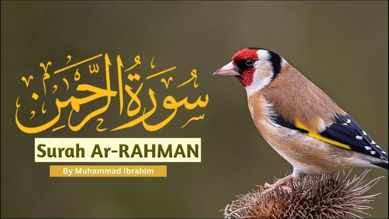 Al Rahman | سورة الرحمن | Qari Muhammad Ibrahim | Powerful Quran Recitation | English Translation