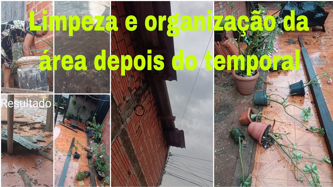 Um pouco do rastro deixado pelo temporal, aproveitei para esvaziar um vaso #chuva 