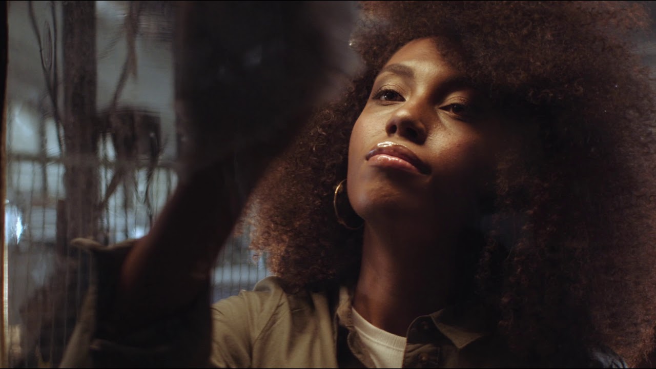 Blackmagic Pocket Cinema Camera 4k | Vazen 28mm t2.2 1.8x anamorphic lens