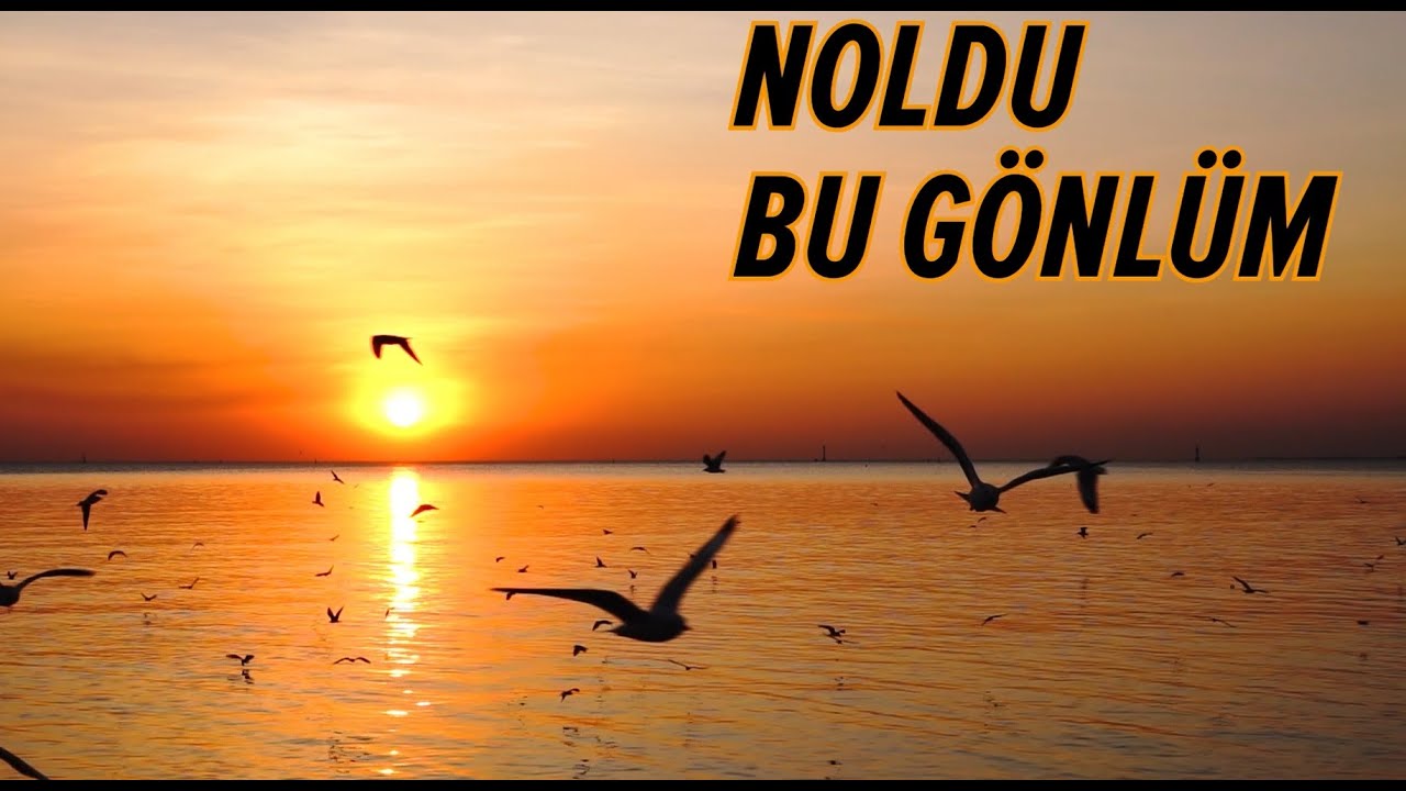 Noldu Bu Gönlüm - Enstrümantal İlahi