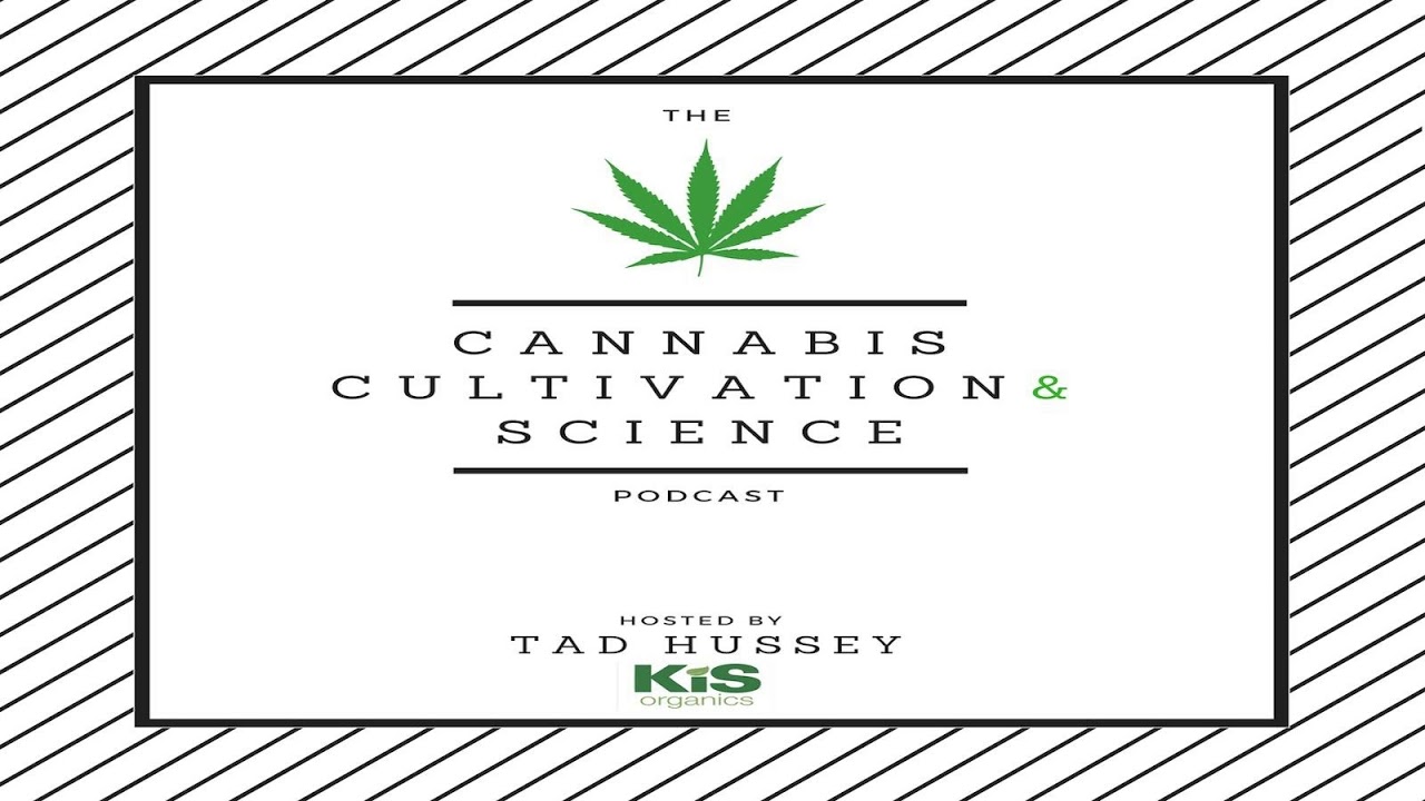 Episode 47: Plant Breeding and Genetic Testing Part II with Dr. Reggie Gaudino